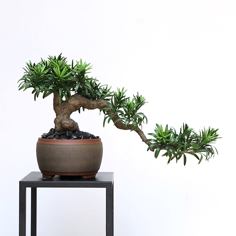 仿真迷你罗汉松树绿植盆景餐桌办公桌书房书桌茶室玄