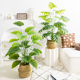 仿真绿植小型假绿植装 饰室内仿生绿植龟背竹仿真假摆设