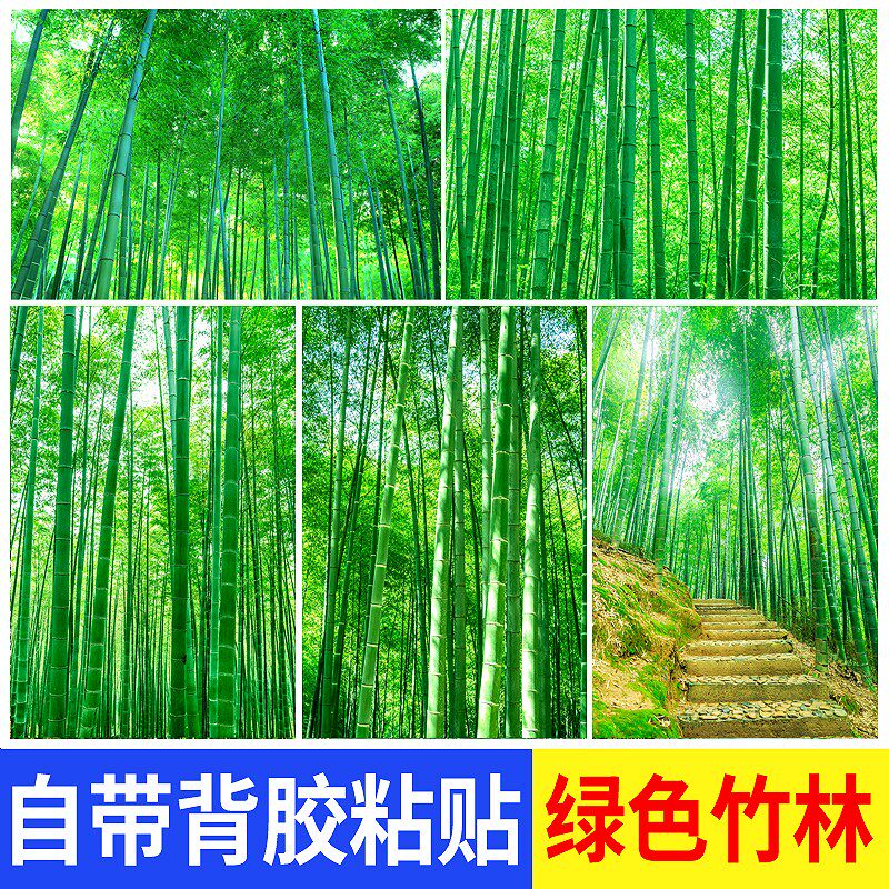 绿色竹林墙报自粘客厅办公室护眼竹子风景饰画墙壁画