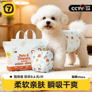 狗狗尿不湿公狗专用纸尿裤母狗生理裤姨妈裤拉拉裤小狗可排泄尿布