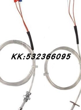 端面热电阻汽轮机用WZCM/WZPM-201/A级B级PT100WZP035T温度感测器