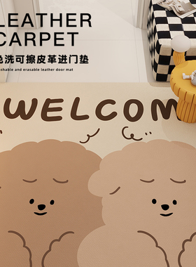 入户门地垫玄关地垫防滑高级感门口脚垫可裁剪pRvc免洗入户地毯
