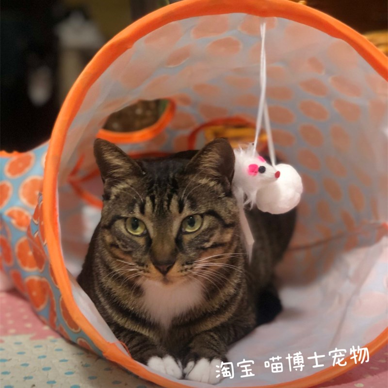 猫钻洞隧道猫咪睡袋滚地龙带响纸猫咪发声玩具益智互动宠物用猫窝