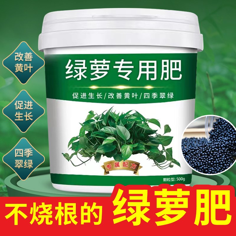 绿萝专用肥颗粒缓释型增根壮苗叶片肥厚除菌增营养调酸碱防板结