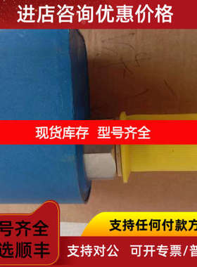 EGE温度流量开关 P11105 LNZ 450 GR-S  LN 450 GR-S