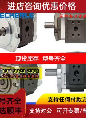 ECKERLE艾可勒液压油泵EIPH6-100LP30/125LP30/160LP30-10/11/1X