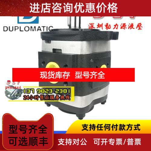 DUPLOMATIC迪普马油泵IGP6-064/080/100/125-R01/R11/L01/L11-10