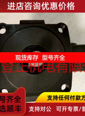 TASHENG液压泵CH1-19W-FR  GH1-15W-FR