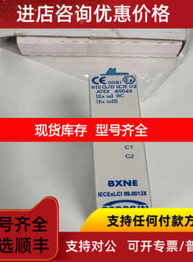 GEORGIN  BXNE010002  继电器