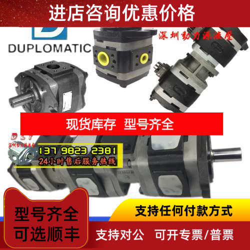 油泵IGP76-125/160/200/250-064/080/100/125-R01/R11/L01/L11-10