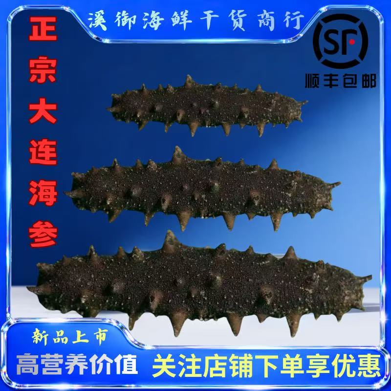 正宗大连辽参温州即食高端滋补