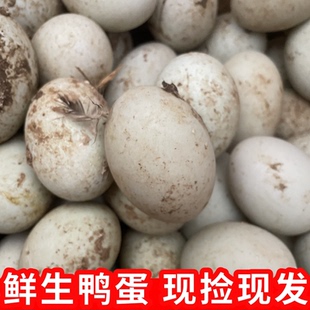 微山湖土鸭蛋新鲜散养正宗红心生鸭蛋湖里放养现捡绿皮青皮麻鸭蛋
