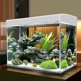 鱼缸新款 家用客厅小型乌龟饲养缸过滤器净水循环三合一生态造景缸