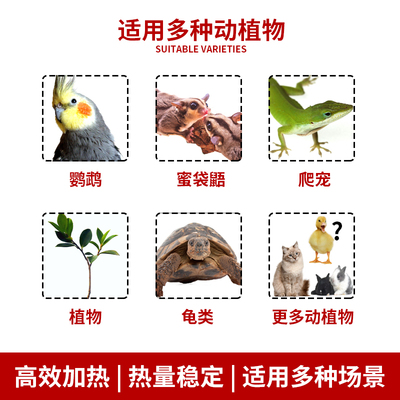 宠物陶瓷加热灯鹦鹉鸟类蜜袋鼯爬虫保温箱无光保暖保温灯防烫灯罩