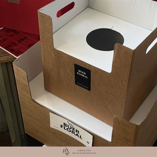 【欢喜物】2025蛇年新年 手提鲜花礼盒 盆栽花瓶插花礼袋花束花盒