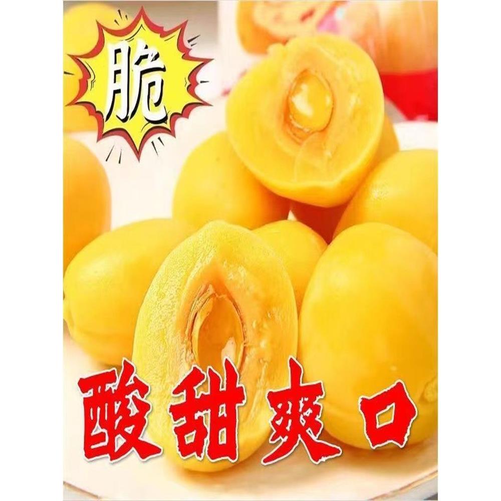 现货酸甜脆桃桃童年回忆大小黄桃蜜饯怀旧小吃锁喉桃旗舰店