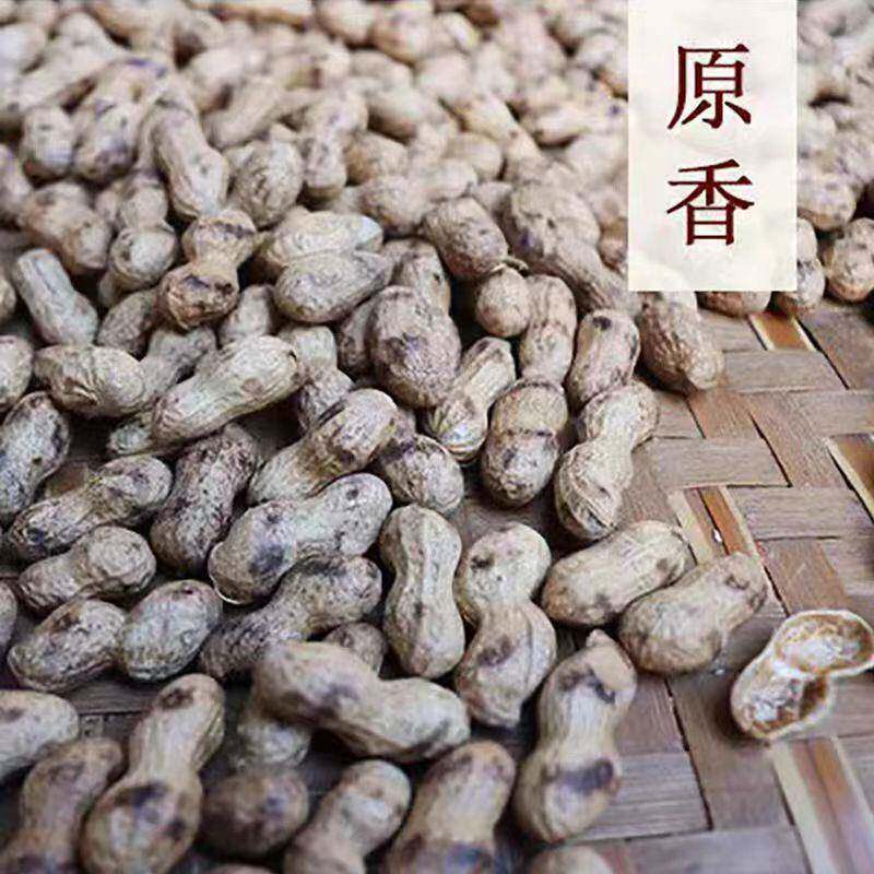 现货正宗石城翻秋花生江西带壳原味湿炒花生炒货熟花生农家土特产