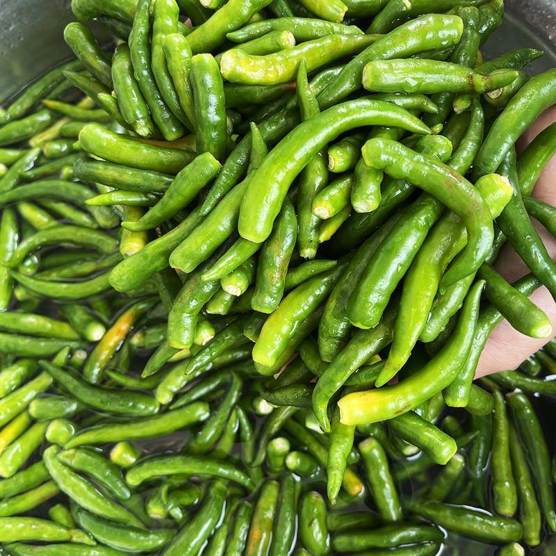 现货江西特产无油青剁椒香辣脆爽口下饭菜拌面拌粉拌饭蒜蓉辣椒酱