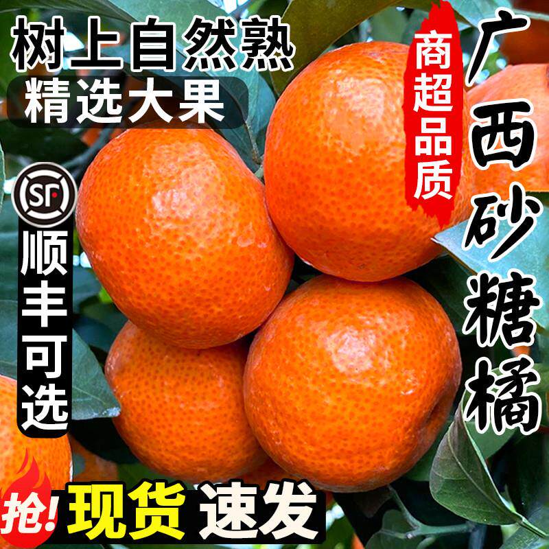 新货正宗广西砂糖橘10水果新鲜当季橘子整箱斤纯沙糖桔甜非金秋无