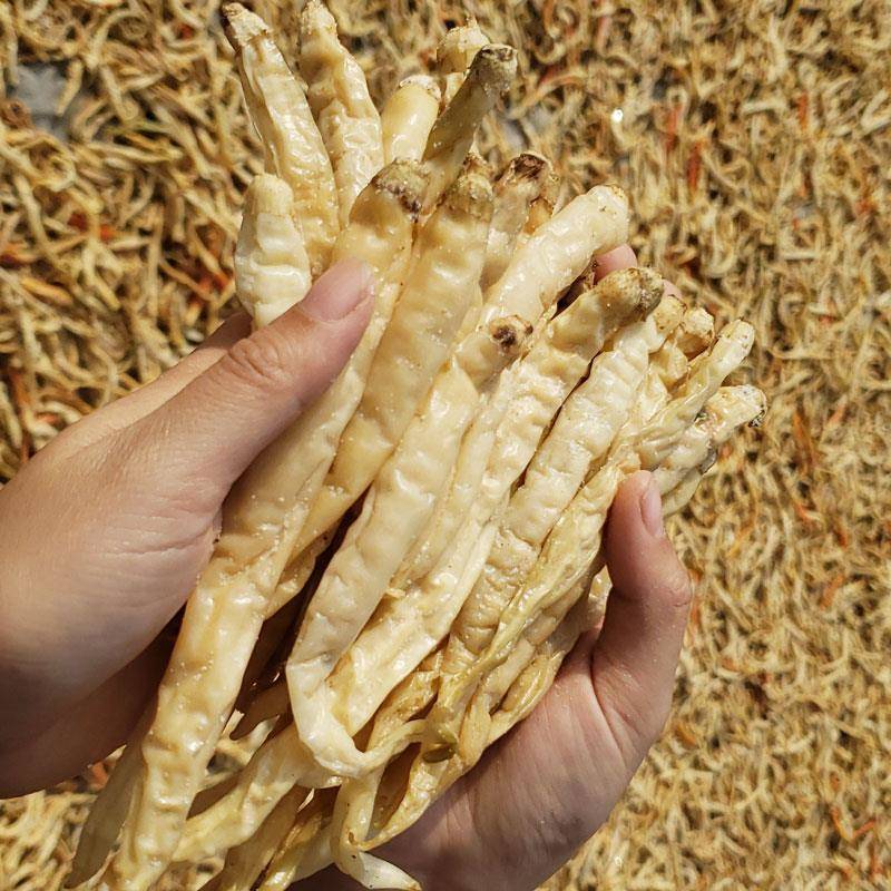 现货湖南干辣椒湖南白辣椒干盐辣椒 微辣特香农家自制 辣椒干货土