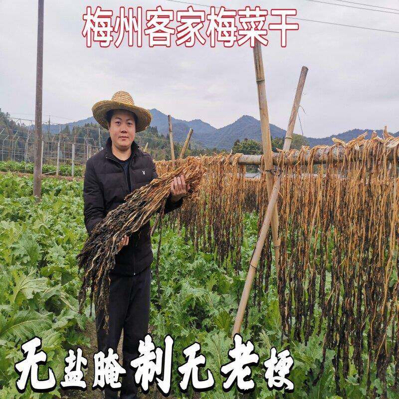 现货老梅干阿妹客家梅菜干梅州农家日晒梅干菜无盐无老梗扣肉专用