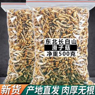 新货甄好货东北滑子菇干货食材滑子蘑珍珠菇500克煲汤材料小鸡炖