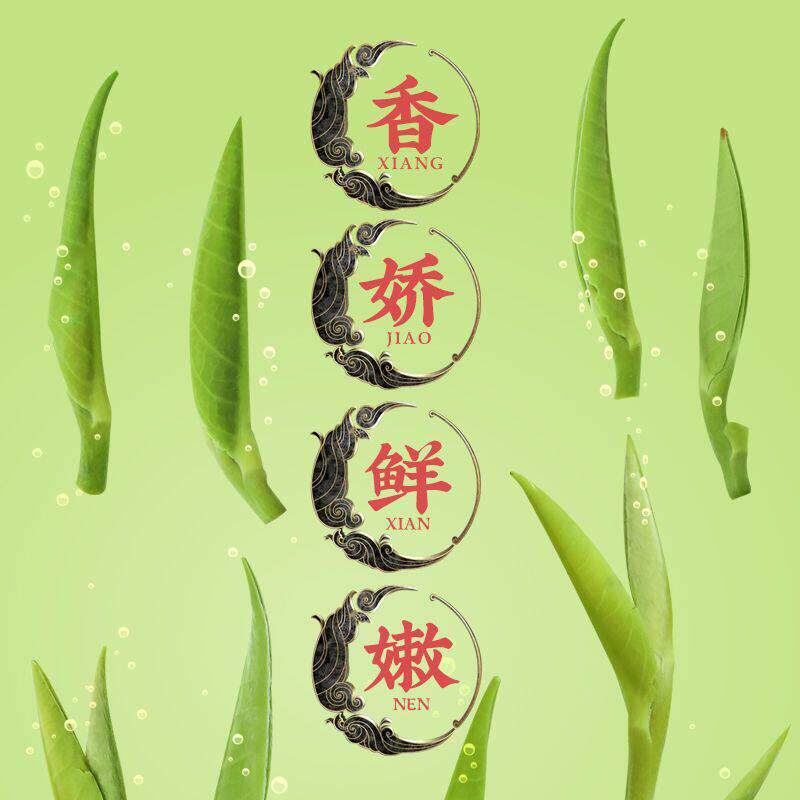 现货福茗源 雀舌绿茶叶 新茶叶原产川明前春茶毛尖嫩芽125g浓香型