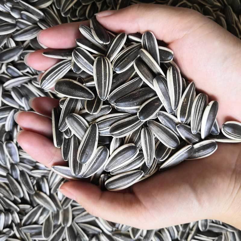 新货今年新瓜子新货生瓜子