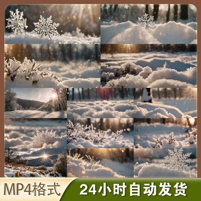 冬天唯美雪景雪花飘落