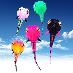 软体蝌蚪风筝好飞易飞立体大风筝抗大风软体风筝花色蝌蚪风筝