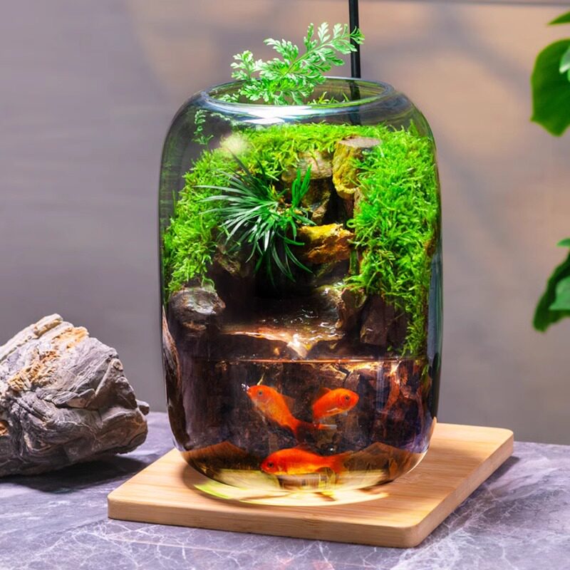 石上清泉流水款养鱼缸真植物苔藓微景观生态瓶办公室成品室内送礼