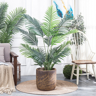 粗陶缸大号陶罐绿植陶瓷盆大口径缸土陶旧缸大缸翁罐民俗瓦盆