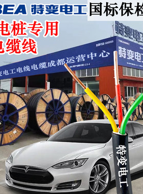特变电工电缆电线铜芯汽车充电桩新能源电缆K线专用6电线10平方3
