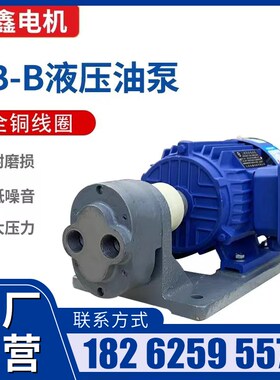 CB-B齿轮液压油泵卧式电机组总成CB-B6/4/10/25/R32WBZ循环输油泵