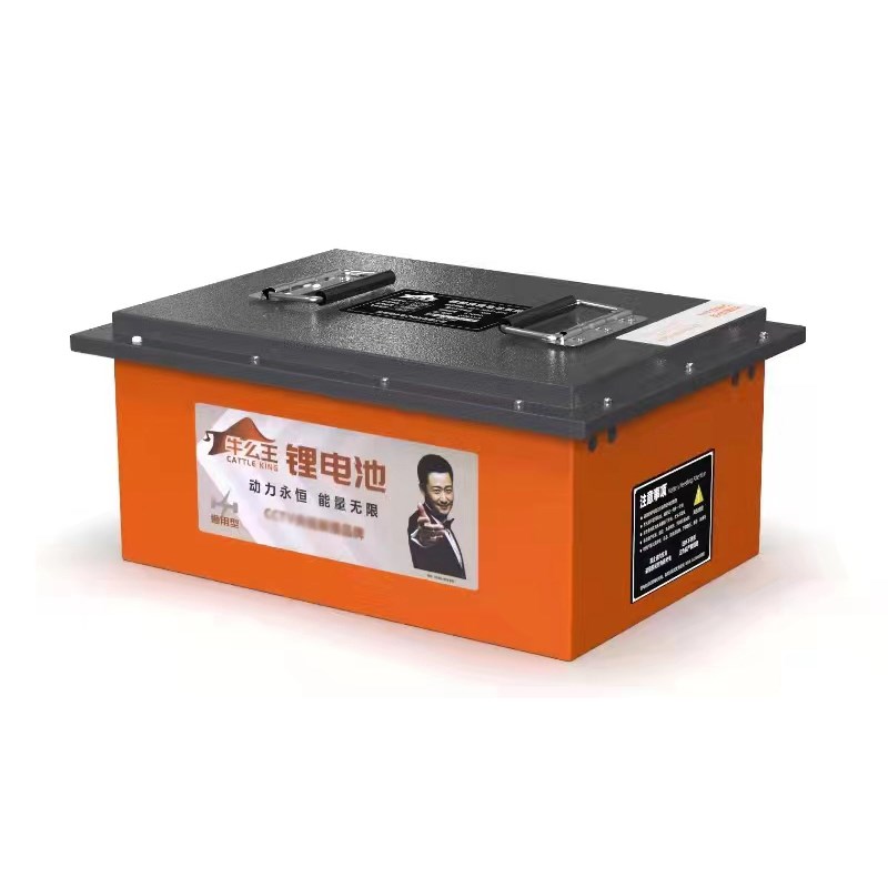 牛么王电动车锂电池60V48宁德磷酸铁锂72V外卖专用三轮大容量电瓶