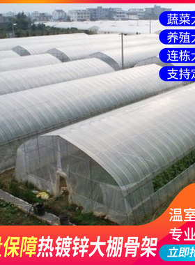 养殖大棚全养鸡棚鸡舍猪棚牛棚羊棚鸭棚鹅棚养殖棚大棚骨架