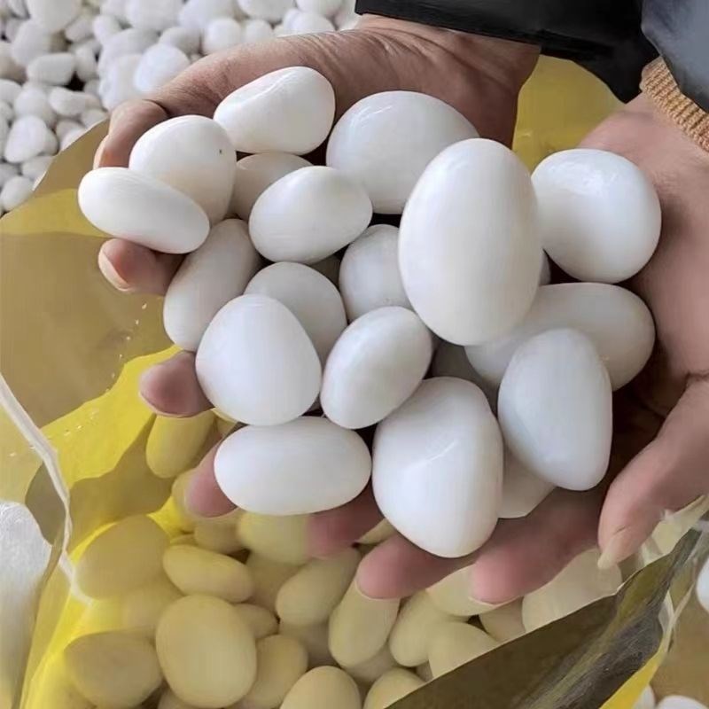 天然纯白色鹅卵石抛光庭院阳台石铺地水培园林造景水培石子盆