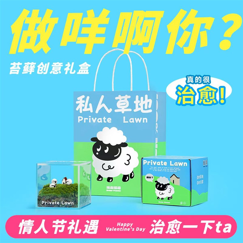 情人节创b意礼物 苔藓微景观私人草地办公室桌面工位懒人绿植盆栽