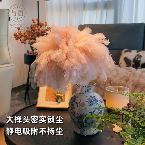 高端鸵鸟毛掸子装饰家用实木手柄