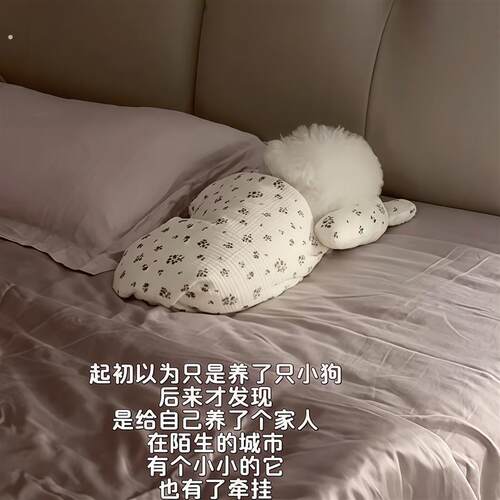 宠物毛毯猫狗毯子春夏空调盖毯四季通用睡觉毯带枕头小被子睡觉垫