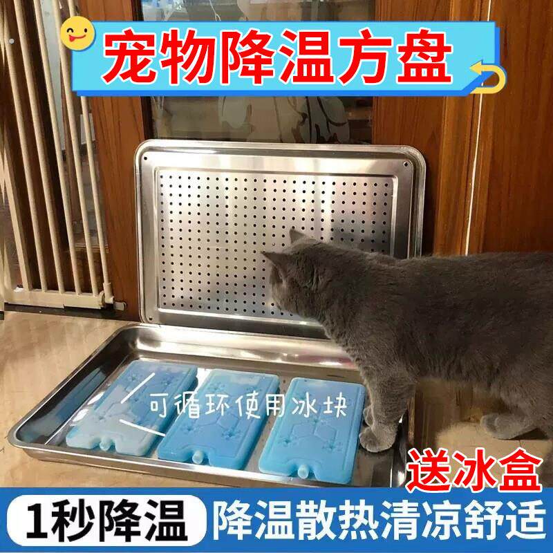 宠物降温神器猫咪仓鼠冰盒解暑冰窝夏天兔子狗狗龙猫散热板不锈钢
