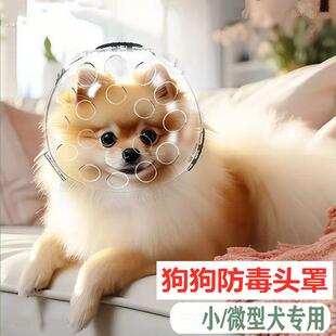 小狗防毒面罩狗狗太空头罩宇航员头套防乱吃宠物嘴罩防舔咬防误食