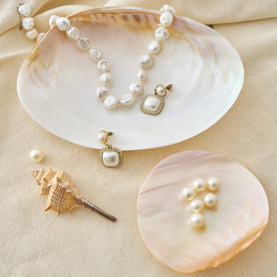 ins高级感贝壳托盘子首饰品拍照道具桌面摆件拍摄影家居收纳装饰