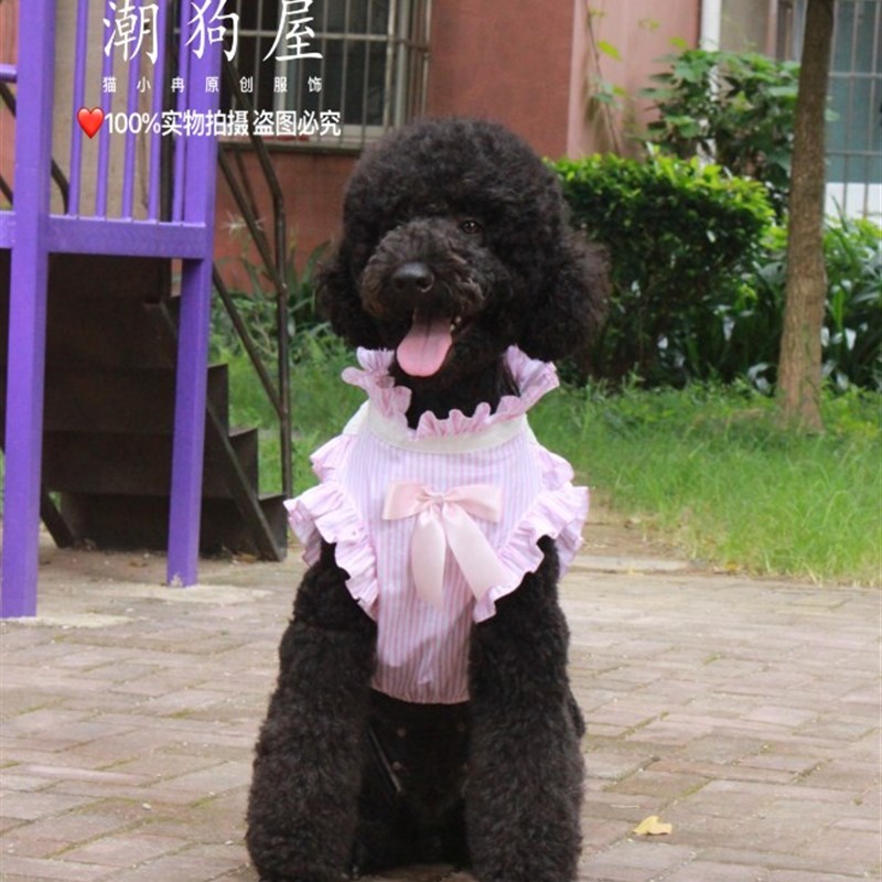巨贵条纹情侣装大型狗狗衣服阿拉金毛衣服大狗公主装大型狗狗夏装