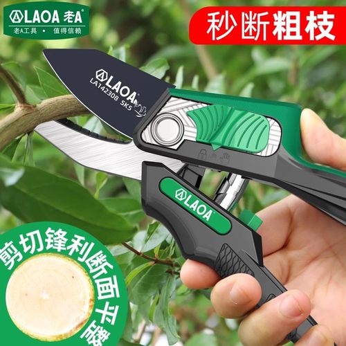 老A 修枝剪园艺剪刀剪数枝专用剪园林修剪果树修枝工具花艺修花剪
