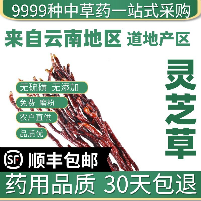 正宗灵芝草材长白山特产整枝赤灵芝又名鹿角灵芝片林芝50克