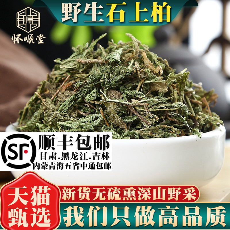 野生石上柏500g克材石上柏中草药石柏新鲜干货地柏草地侧柏叶