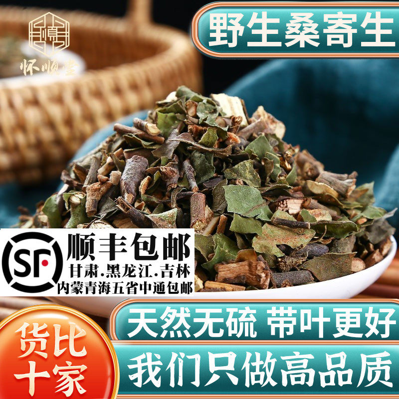 野生桑寄生材500g250g100克新货桑寄生茶另售独活槲寄生