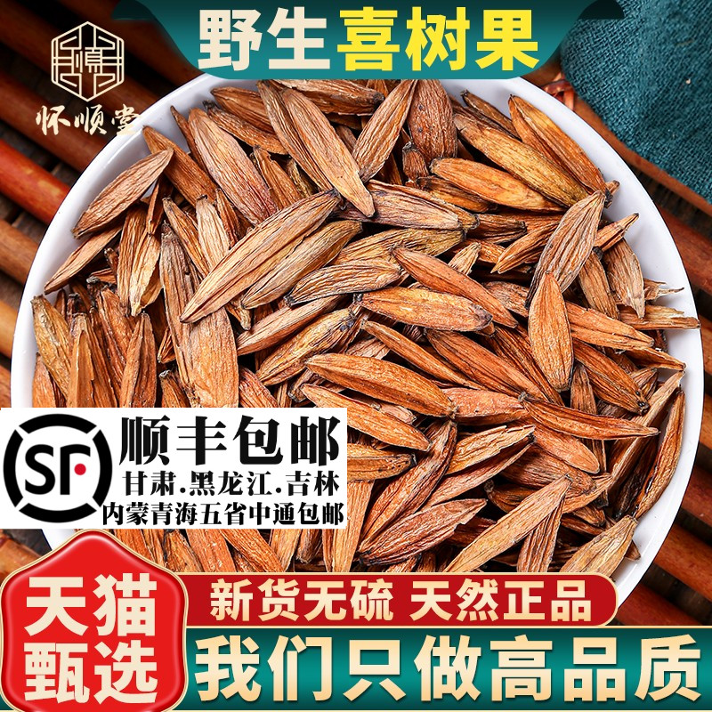 果材500g水栗子千丈树天梓树果干货子果