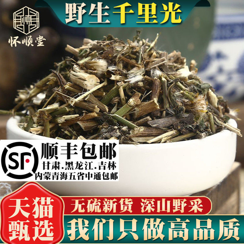 千里光500g克材草药野生泡水小孩洗澡泡澡九里一扫光黄花母